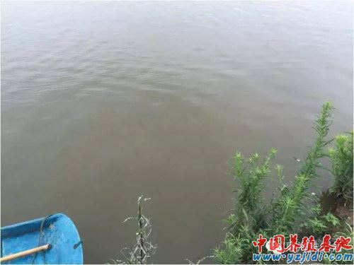 中國養殖基地 yzjidi.com