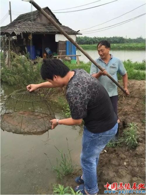 中國養殖基地 yzjidi.com