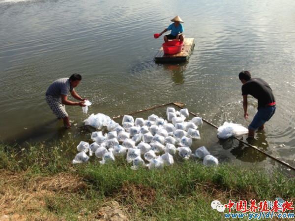 中國養殖基地 yzjidi.com