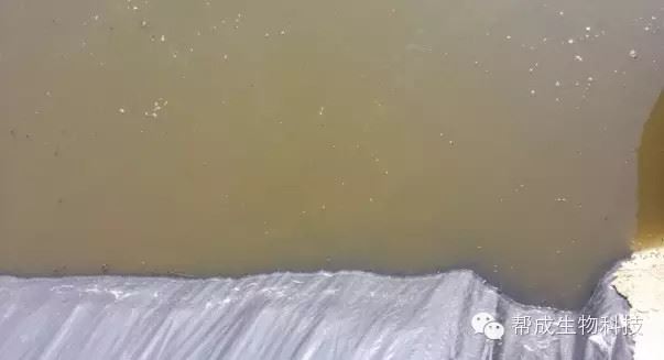中國養殖基地 yzjidi.com