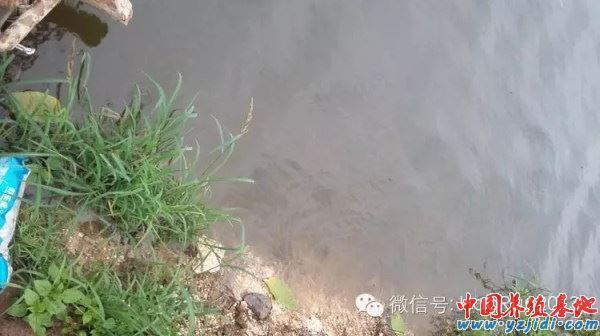 中國養殖基地 yzjidi.com