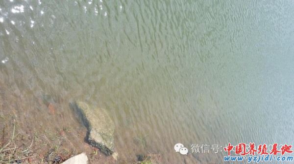中國養殖基地 yzjidi.com