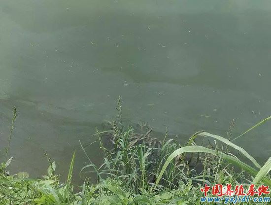 中國養殖基地 yzjidi.com