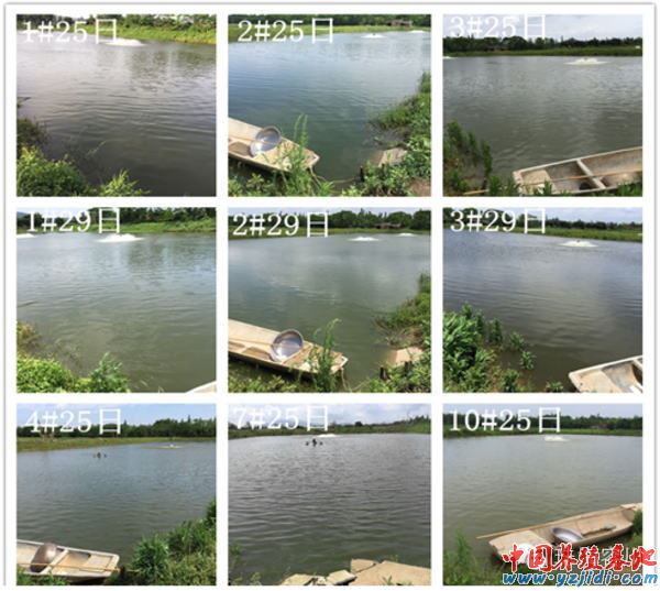 中國養殖基地 yzjidi.com