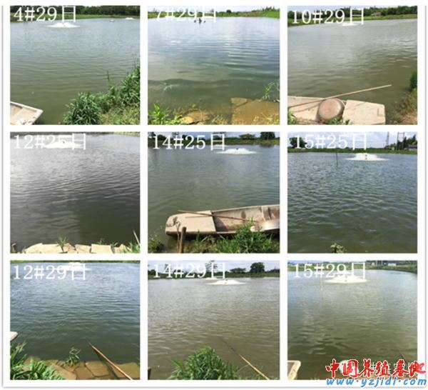 中國養殖基地 yzjidi.com