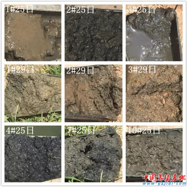 中國養殖基地 yzjidi.com