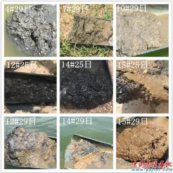中國養殖基地 yzjidi.com