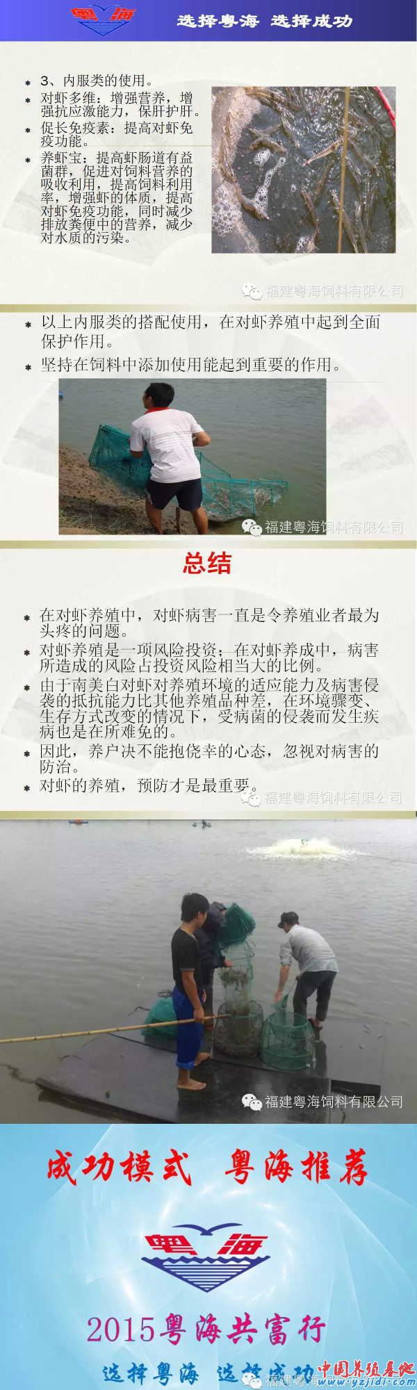 中國養殖基地 yzjidi.com