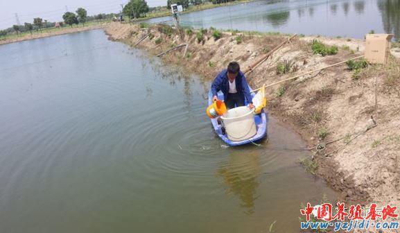 中國養殖基地 yzjidi.com