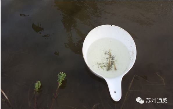 中國養殖基地 yzjidi.com