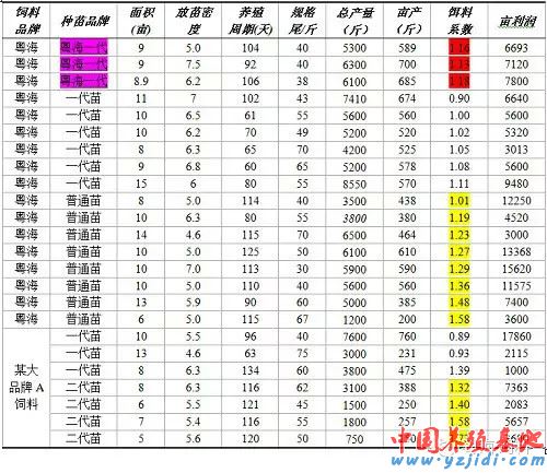 中國養殖基地 yzjidi.com