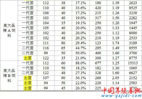 中國養殖基地 yzjidi.com