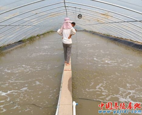 中國養殖基地 yzjidi.com
