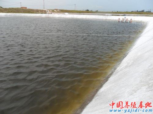 中國養殖基地 yzjidi.com