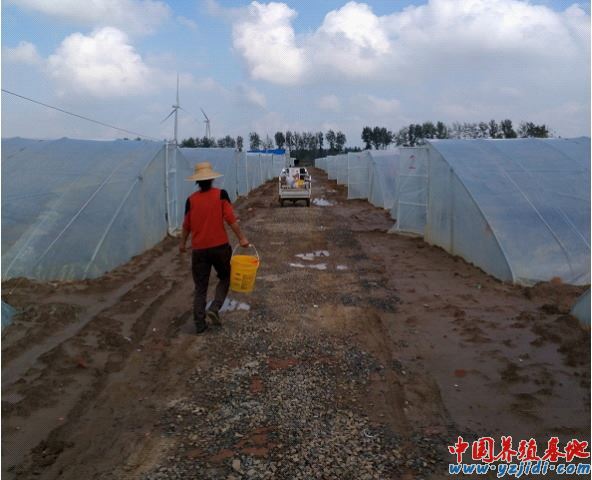 中國養殖基地 yzjidi.com