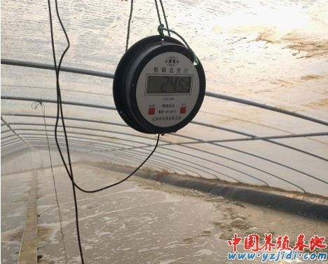 中國養殖基地 yzjidi.com