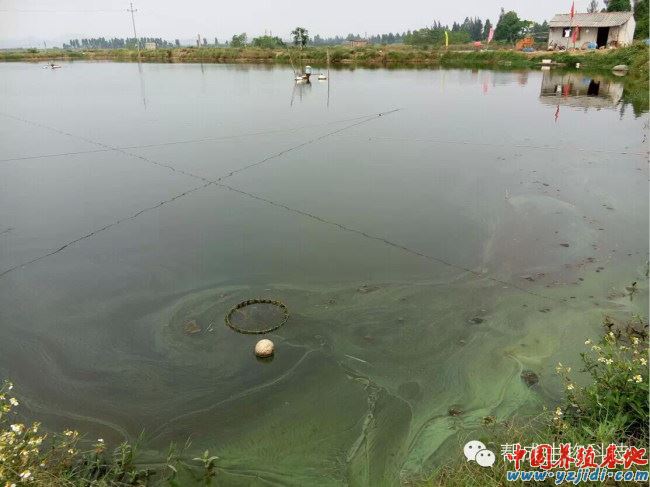 中國養殖基地 yzjidi.com