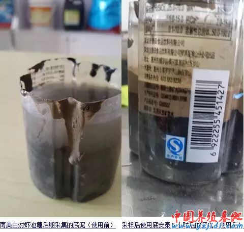 中國養殖基地 yzjidi.com