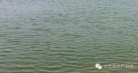 中國養殖基地 yzjidi.com