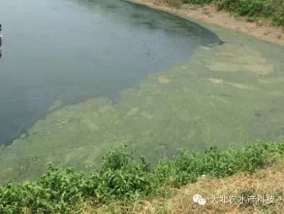 中國養殖基地 yzjidi.com
