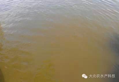 中國養殖基地 yzjidi.com