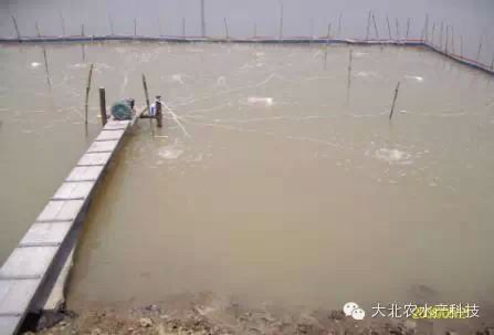 中國養殖基地 yzjidi.com