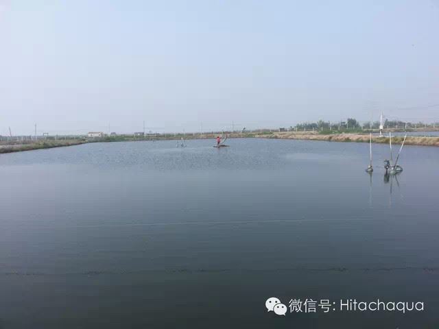 中國養殖基地 yzjidi.com
