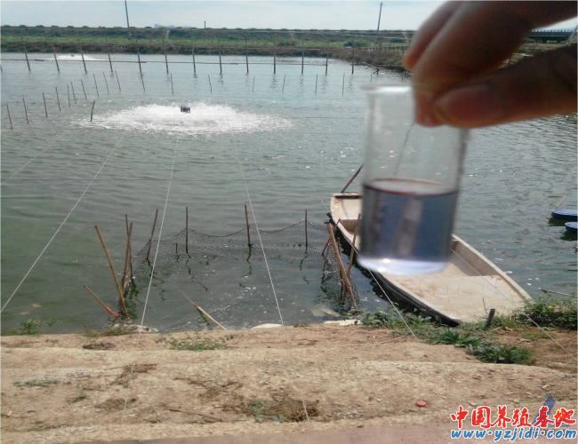 中國養殖基地 yzjidi.com