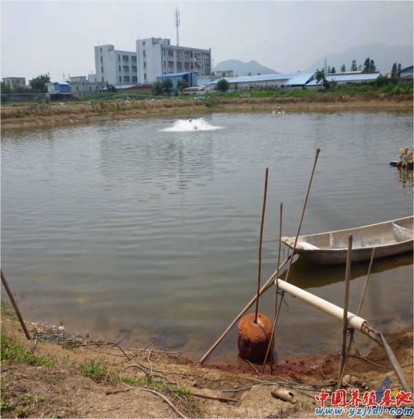 中國養殖基地 yzjidi.com