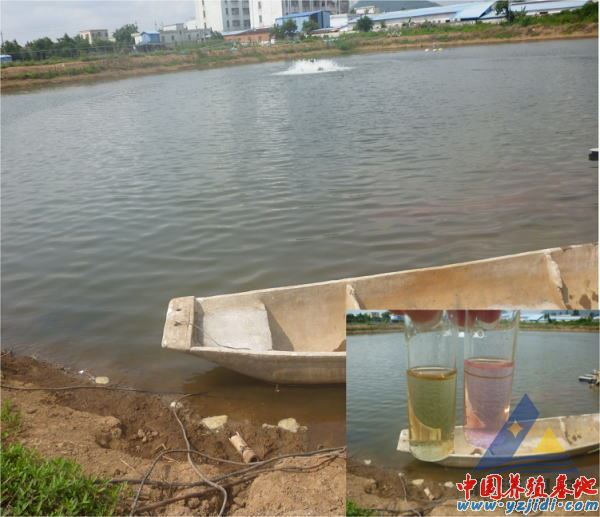 中國養殖基地 yzjidi.com