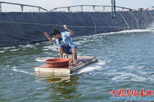 中國養殖基地 yzjidi.com