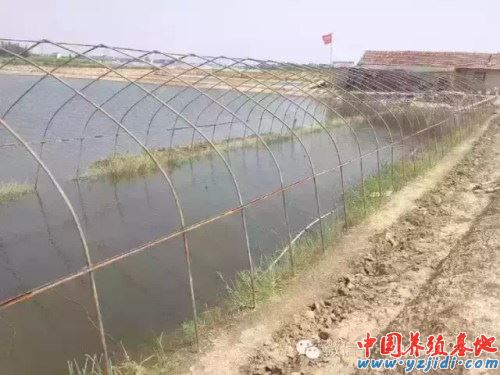 中國養殖基地 yzjidi.com