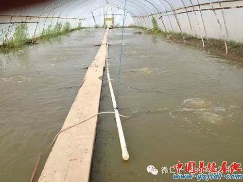 中國養殖基地 yzjidi.com