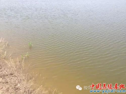 中國養殖基地 yzjidi.com