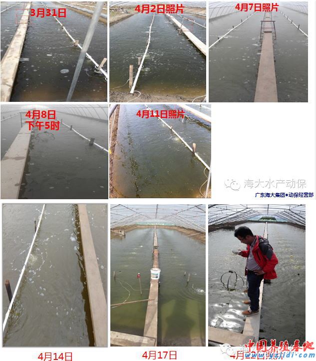 中國養殖基地 yzjidi.com