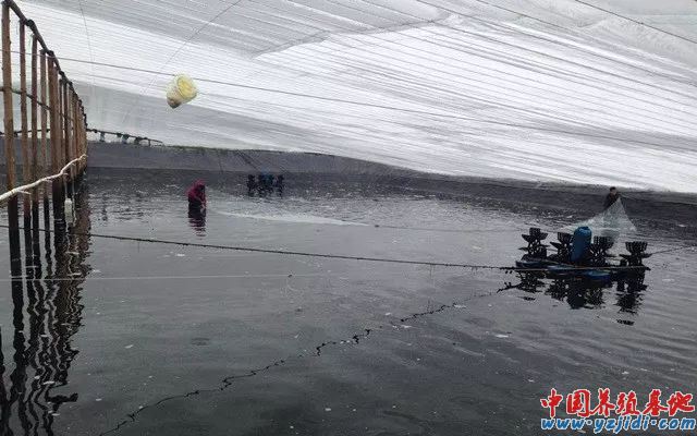 中國養殖基地 yzjidi.com