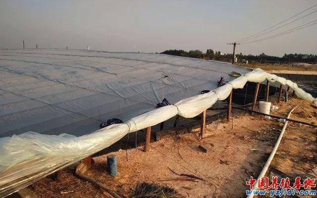 中國養殖基地 yzjidi.com