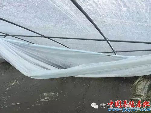 中國養殖基地 yzjidi.com