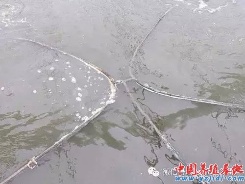 中國養殖基地 yzjidi.com