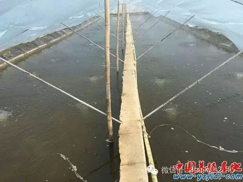 中國養殖基地 yzjidi.com