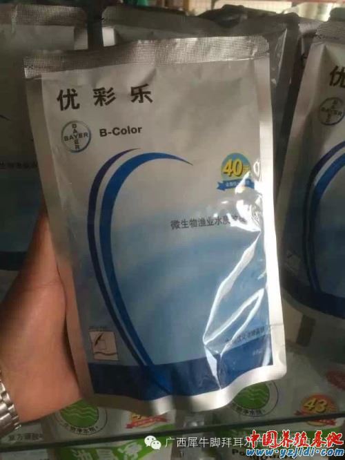 中國養殖基地 yzjidi.com
