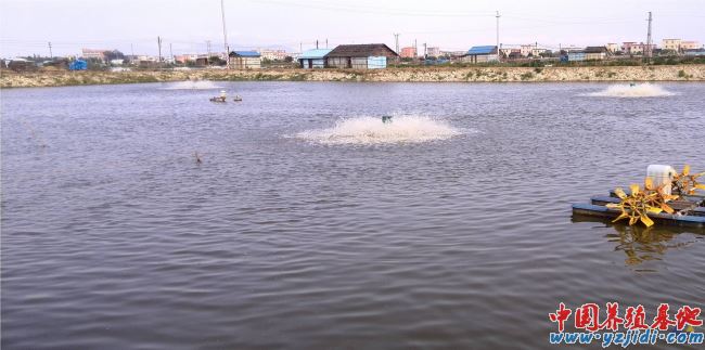中國養殖基地 yzjidi.com