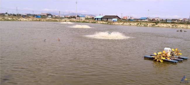 中國養殖基地 yzjidi.com