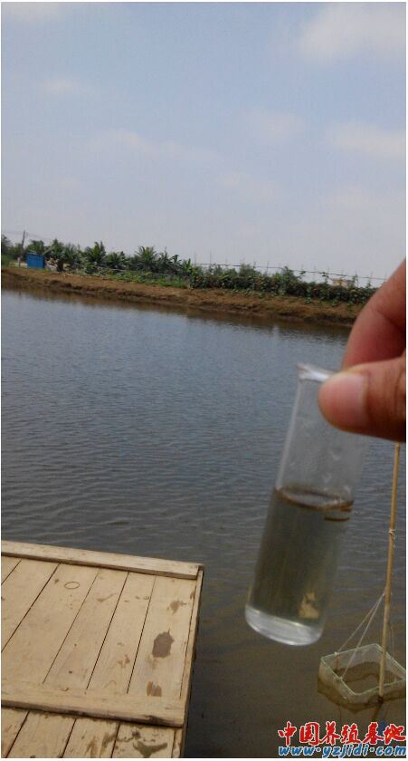 中國養殖基地 yzjidi.com