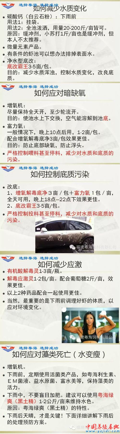 中國養殖基地 yzjidi.com