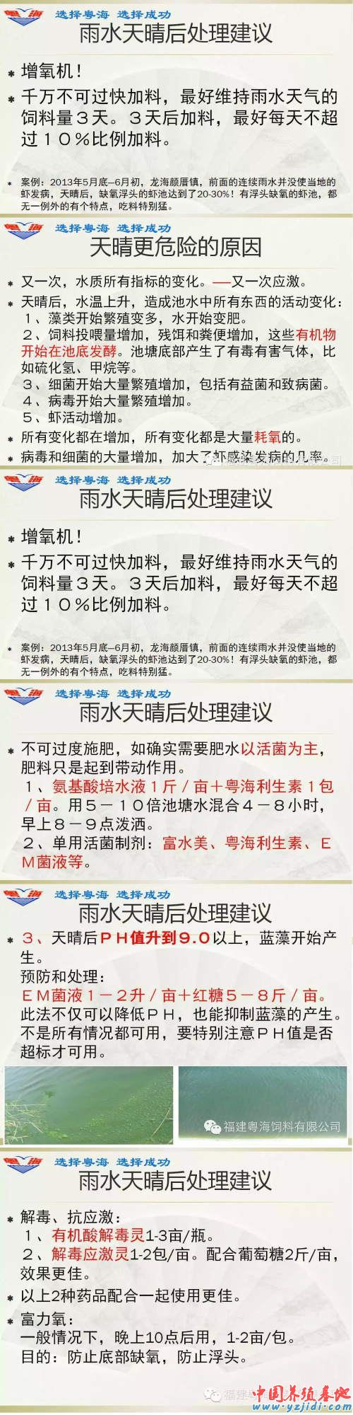 中國養殖基地 yzjidi.com