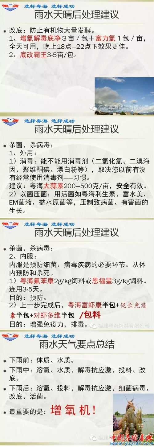 中國養殖基地 yzjidi.com