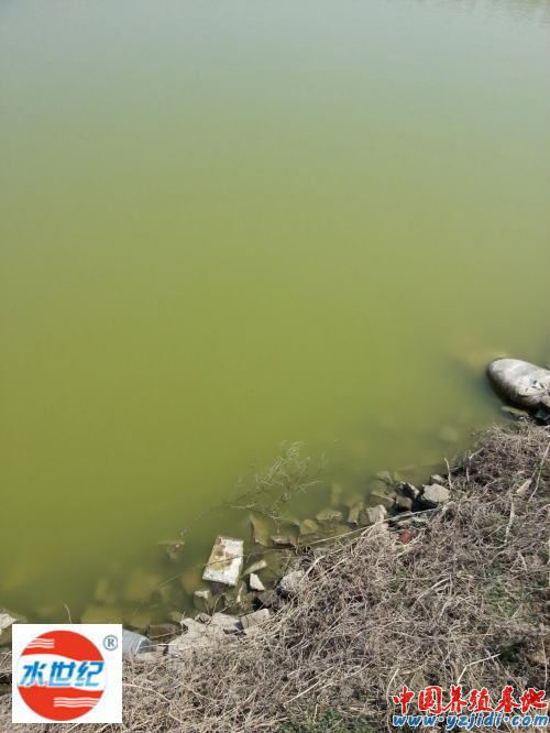 中國養殖基地 yzjidi.com