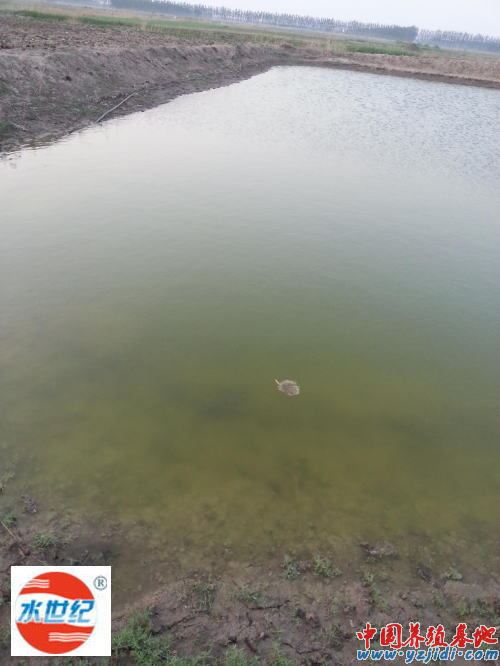 中國養殖基地 yzjidi.com