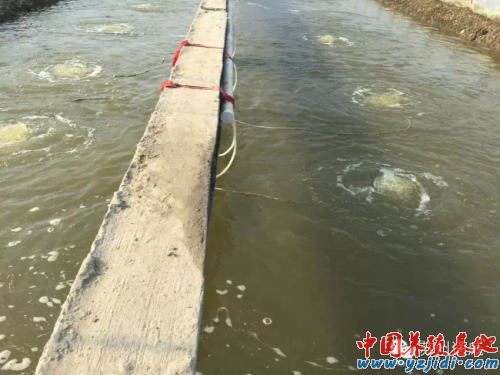 中國養殖基地 yzjidi.com